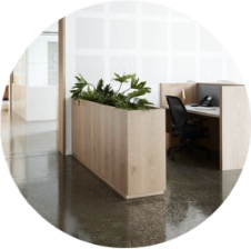 Lite enterprise solution